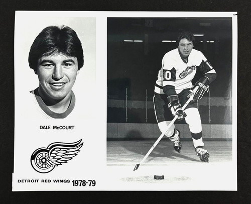 1978 detroit red - 1978-79, wings